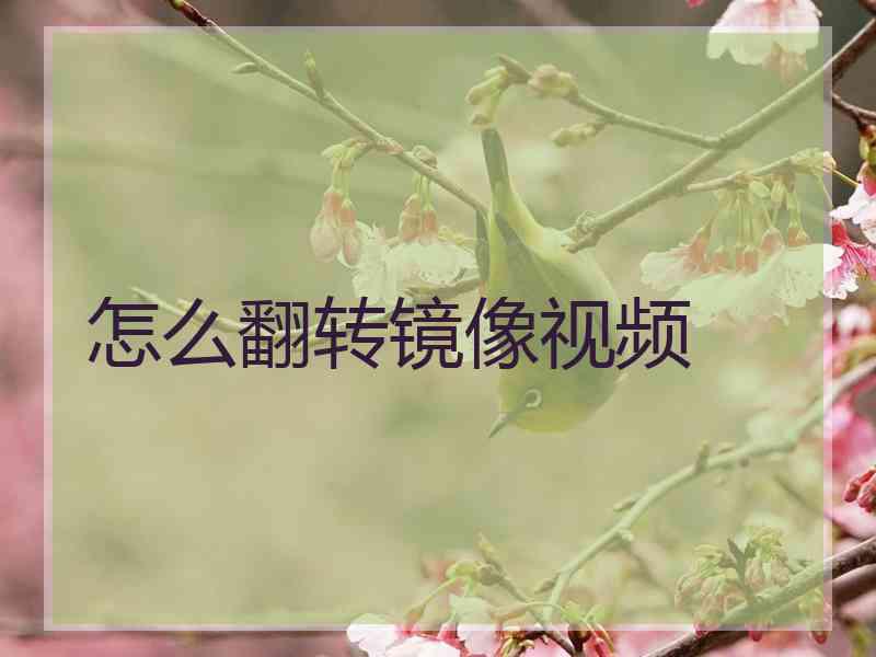 怎么翻转镜像视频