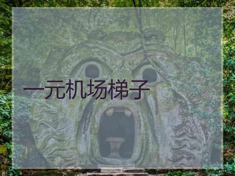 一元机场梯子