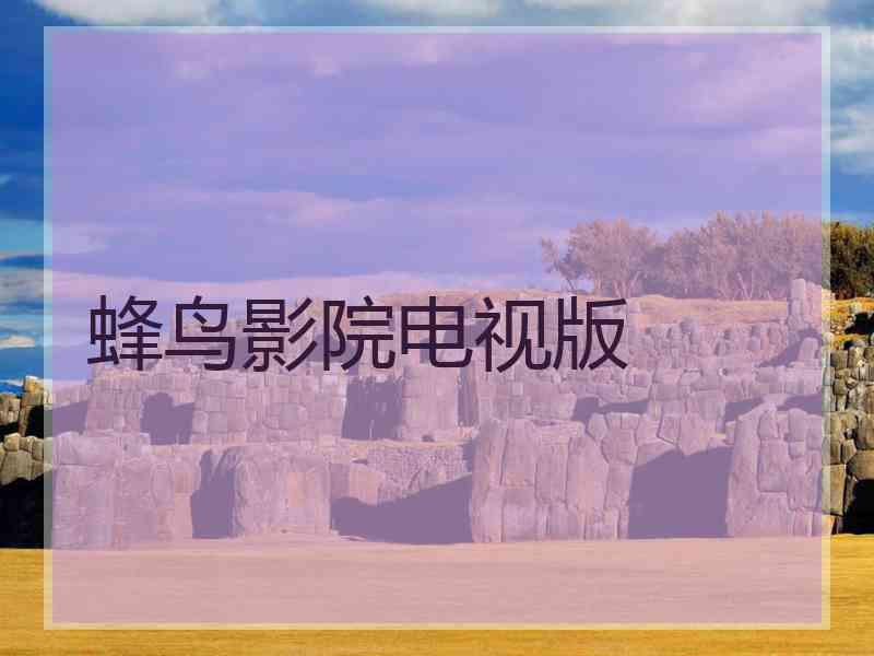 蜂鸟影院电视版