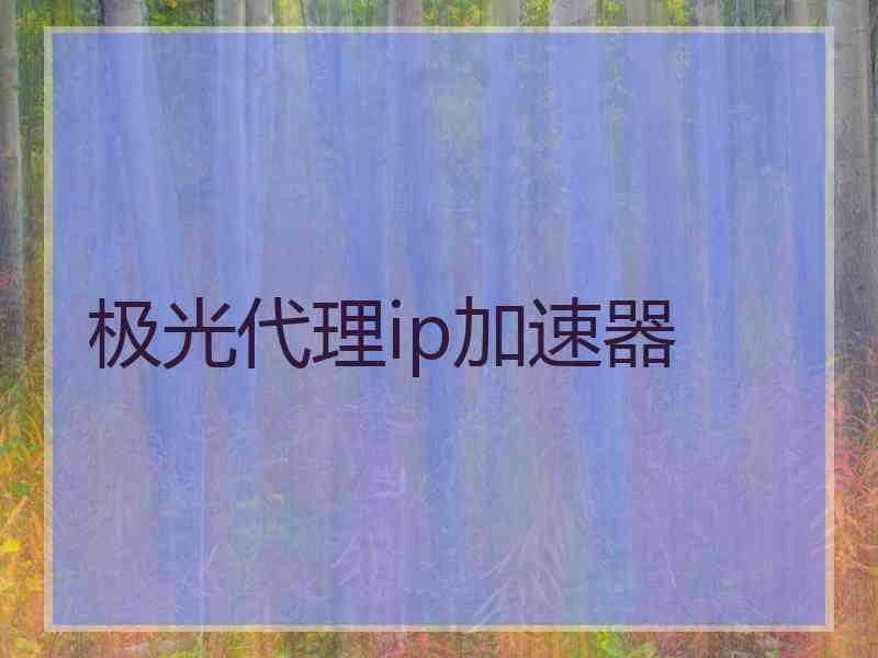 极光代理ip加速器