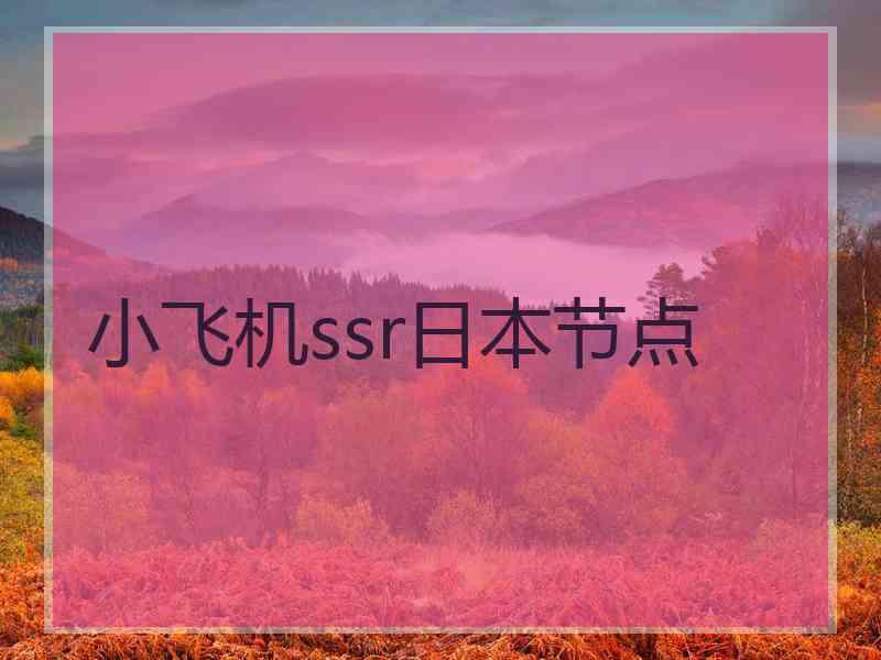 小飞机ssr日本节点