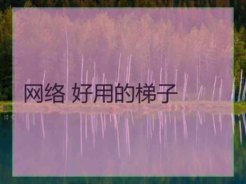 网络 好用的梯子