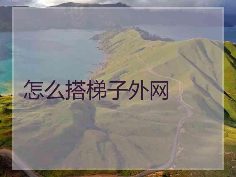 怎么搭梯子外网