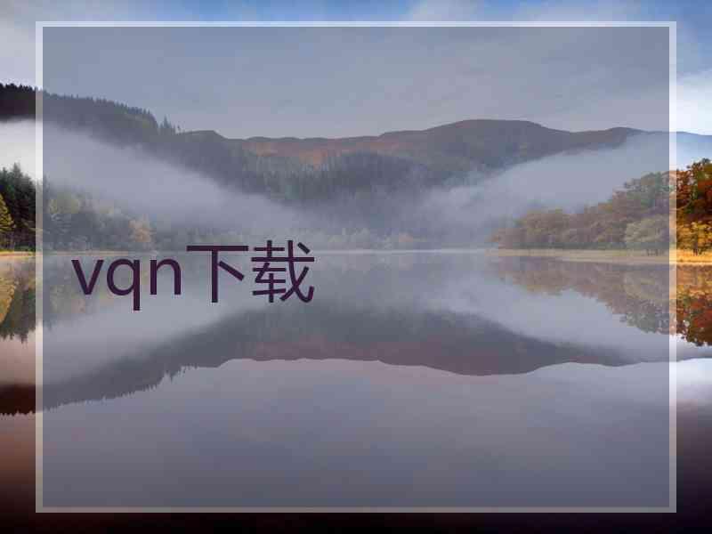 vqn下载