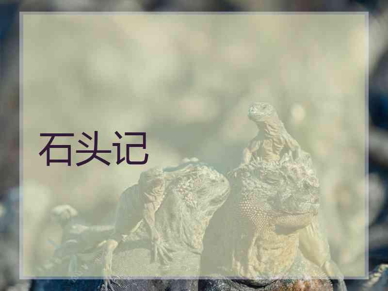 石头记