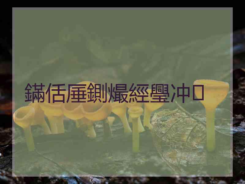 鏋佸厜鍘熶經璺冲