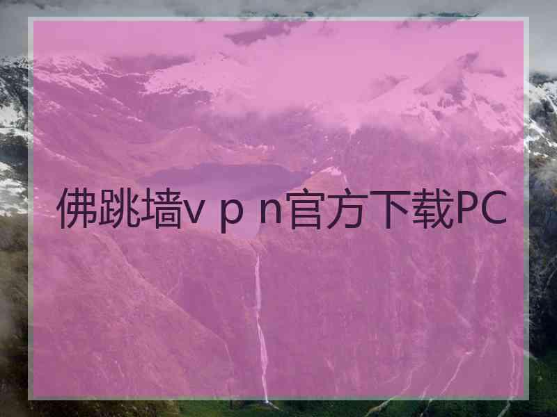 佛跳墙v p n官方下载PC