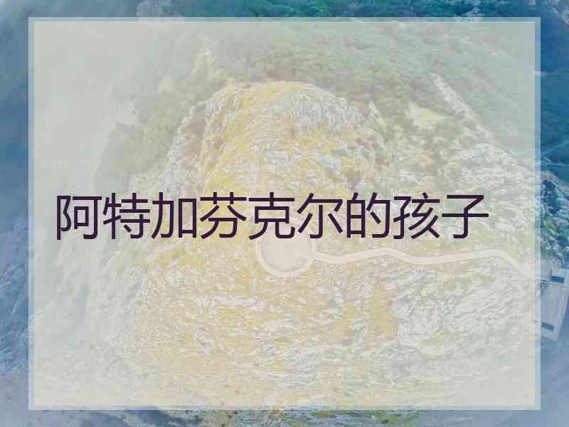 阿特加芬克尔的孩子