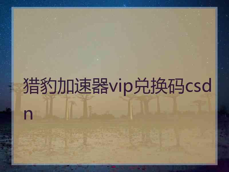 猎豹加速器vip兑换码csdn