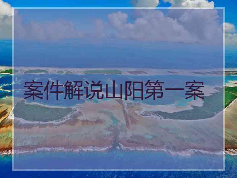 案件解说山阳第一案