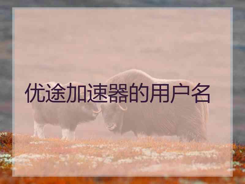 优途加速器的用户名