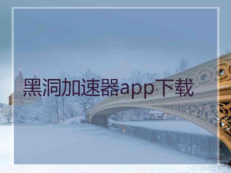 黑洞加速器app下载