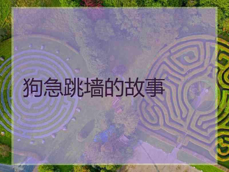 狗急跳墙的故事