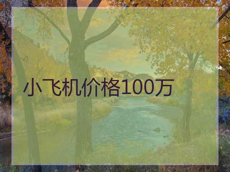 小飞机价格100万