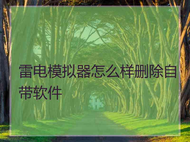 雷电模拟器怎么样删除自带软件