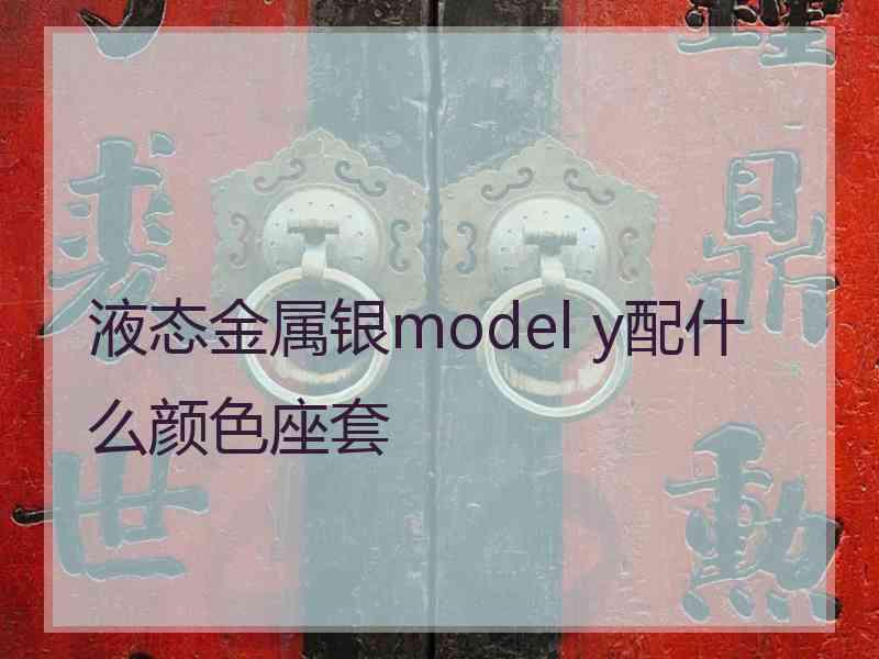 液态金属银model y配什么颜色座套