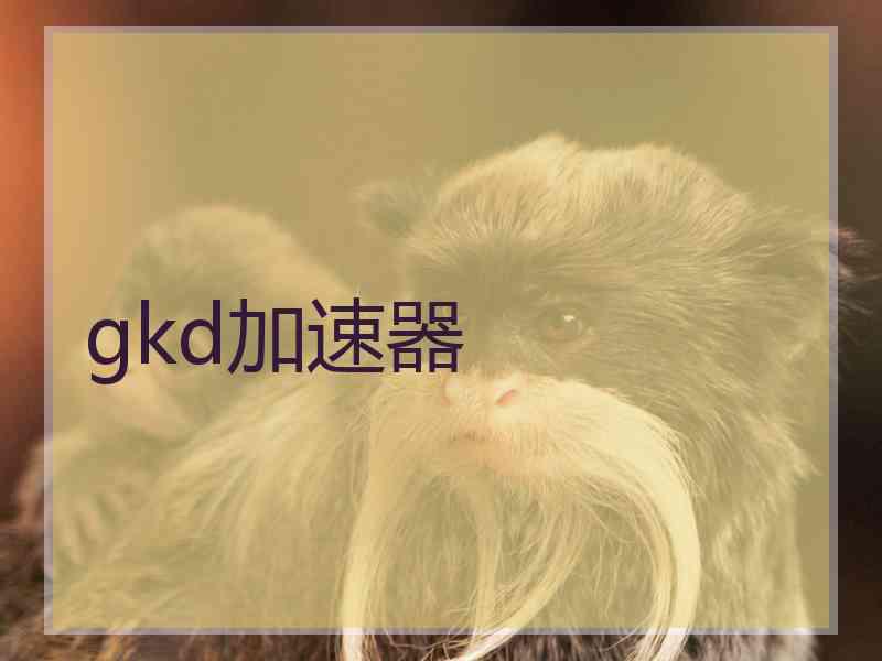gkd加速器