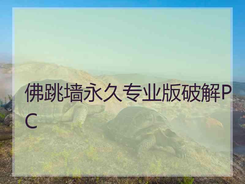佛跳墙永久专业版破解PC