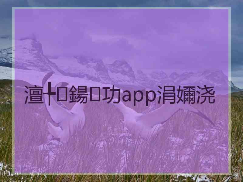 澶╄鍚功app涓嬭浇