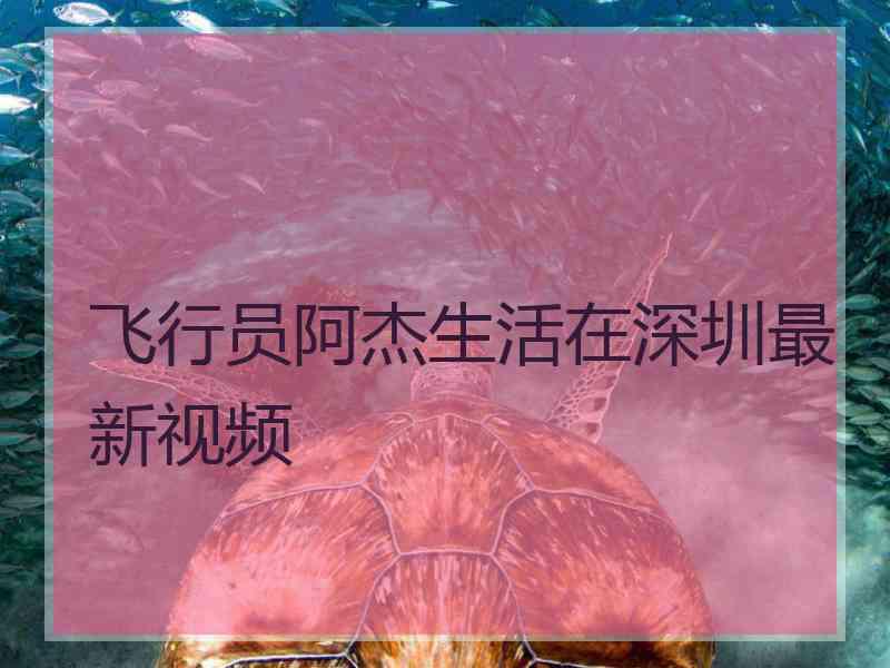 飞行员阿杰生活在深圳最新视频