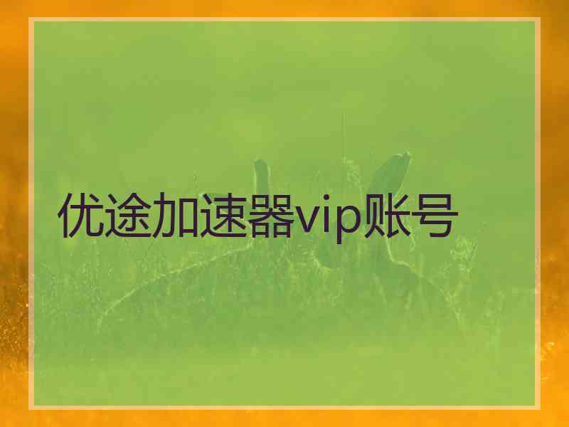 优途加速器vip账号