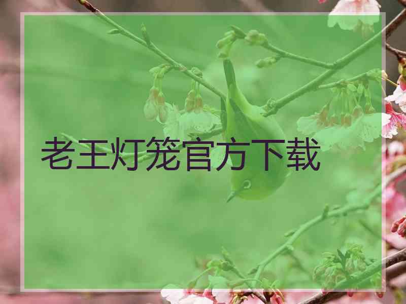 老王灯笼官方下载