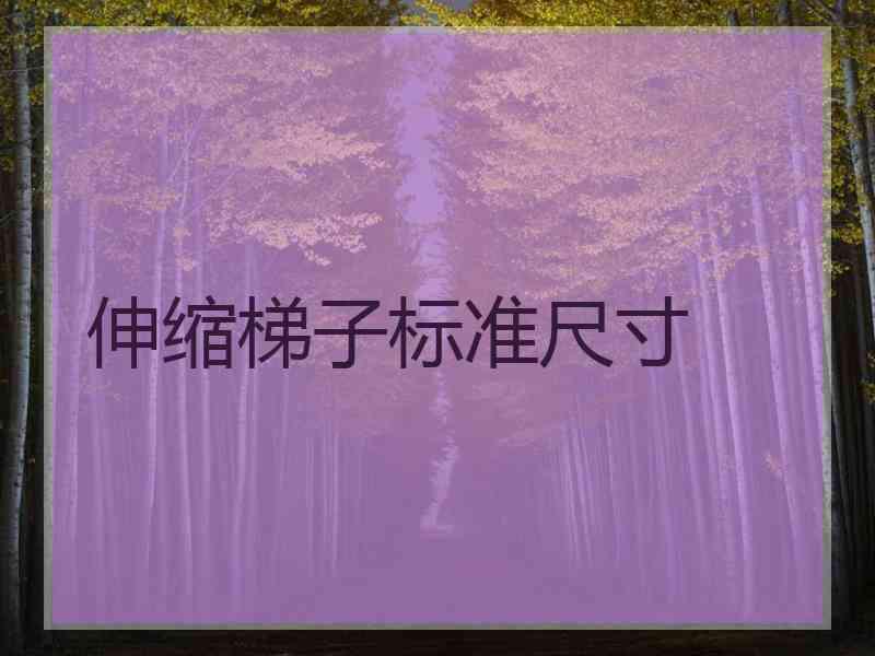 伸缩梯子标准尺寸