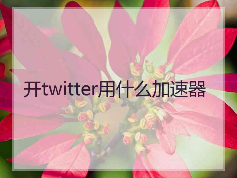 开twitter用什么加速器