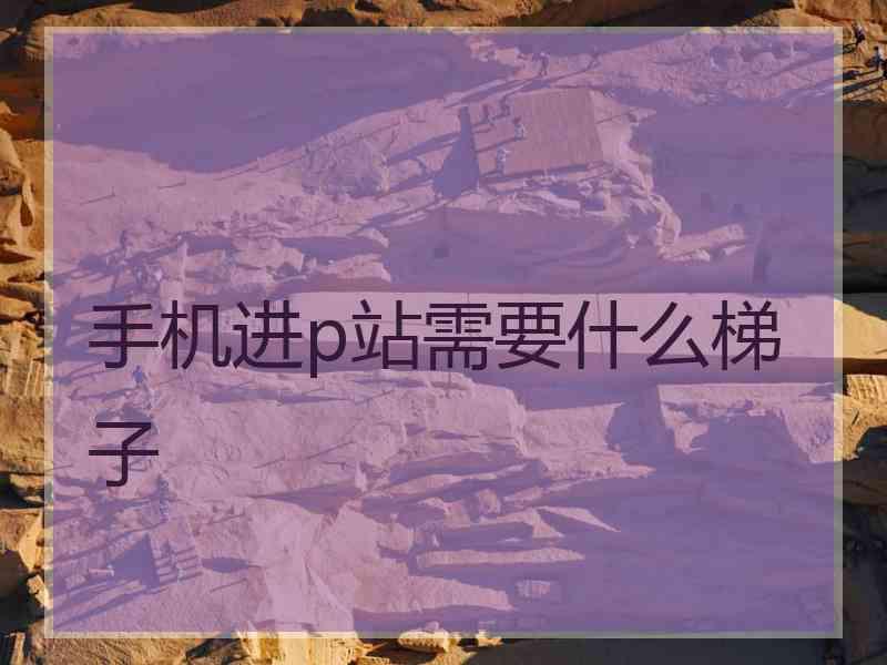 手机进p站需要什么梯子