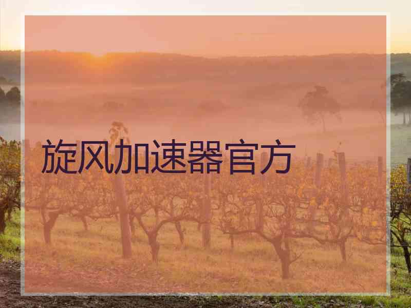 旋风加速器官方