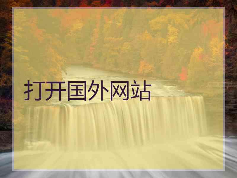 打开国外网站