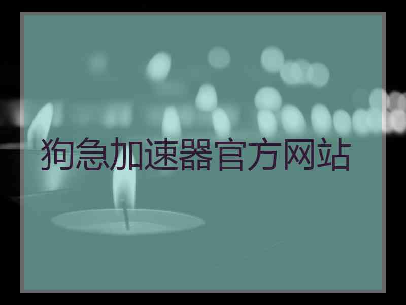 狗急加速器官方网站