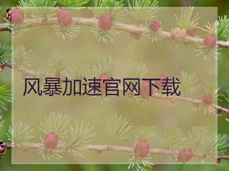 风暴加速官网下载