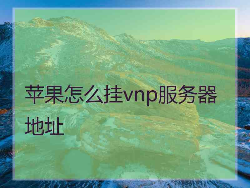苹果怎么挂vnp服务器地址