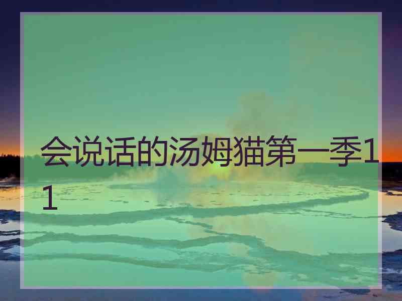会说话的汤姆猫第一季11