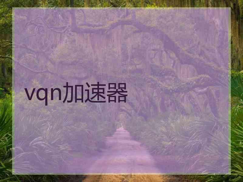 vqn加速器