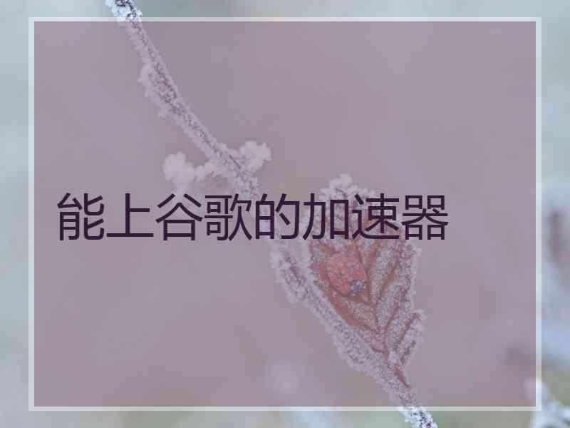 能上谷歌的加速器