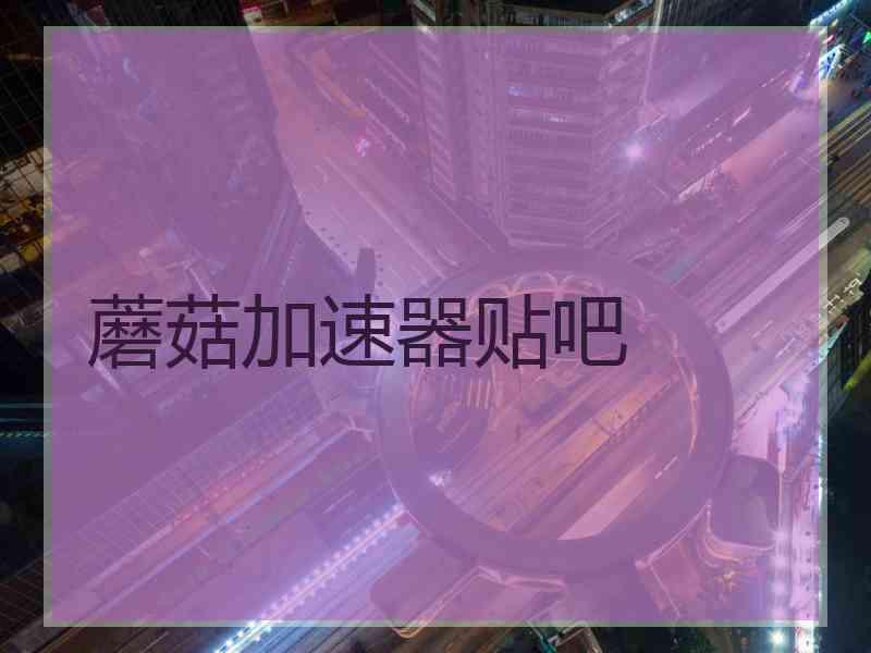 蘑菇加速器贴吧