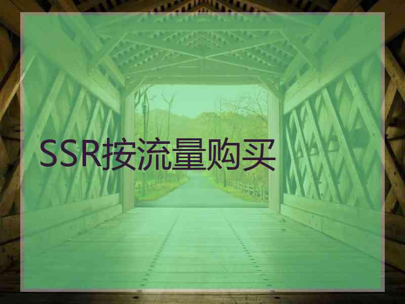 SSR按流量购买