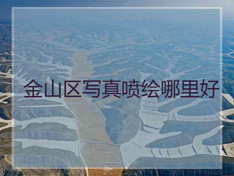 金山区写真喷绘哪里好
