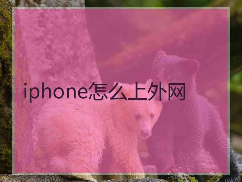 iphone怎么上外网