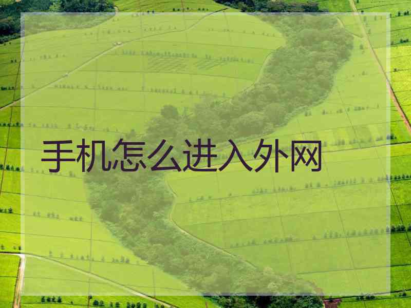 手机怎么进入外网