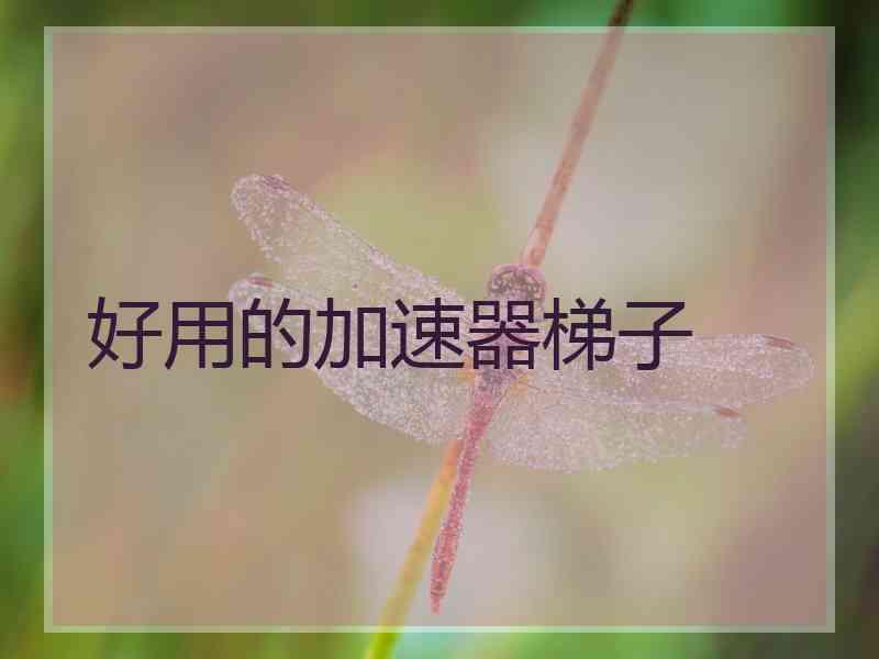 好用的加速器梯子