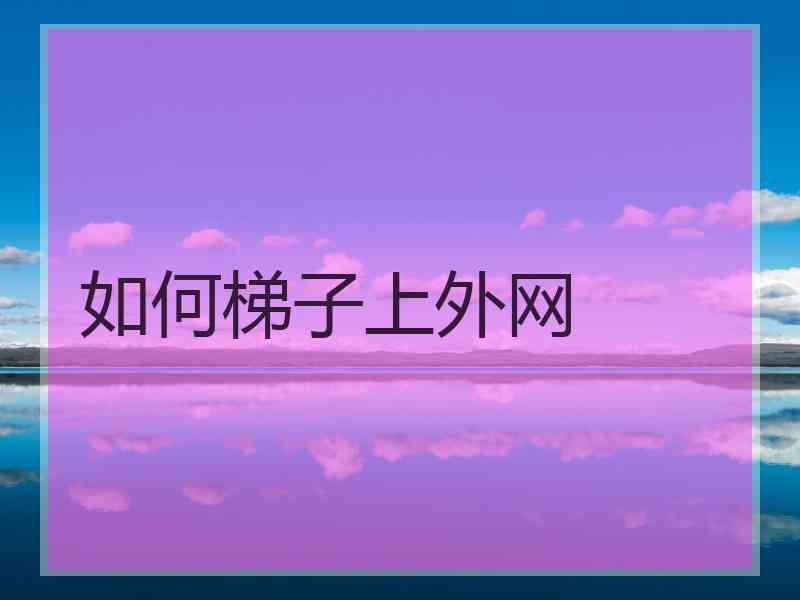 如何梯子上外网