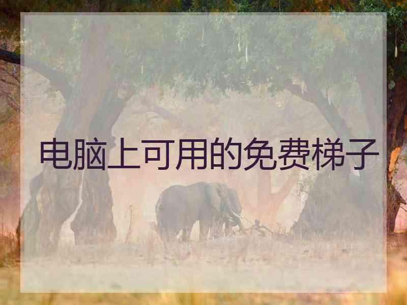 电脑上可用的免费梯子