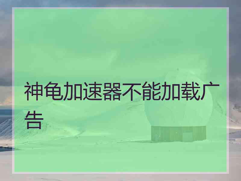 神龟加速器不能加载广告