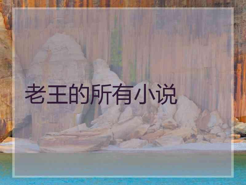 老王的所有小说