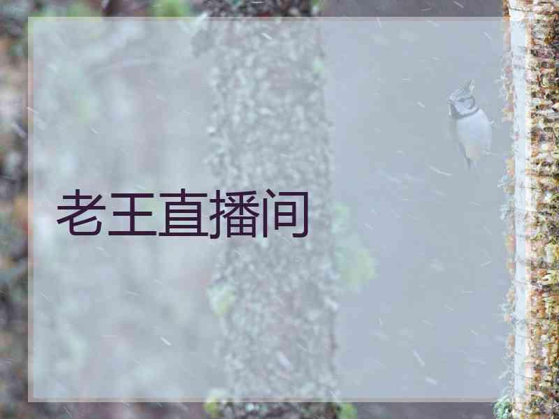 老王直播间