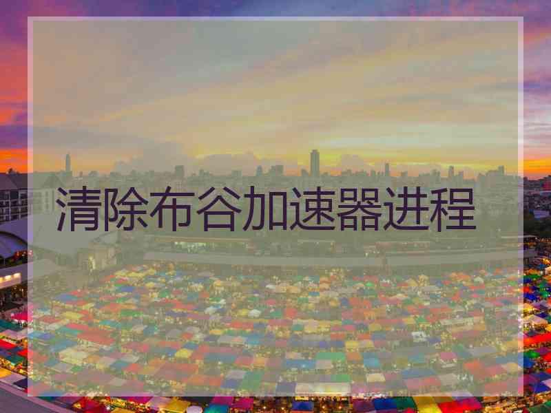 清除布谷加速器进程