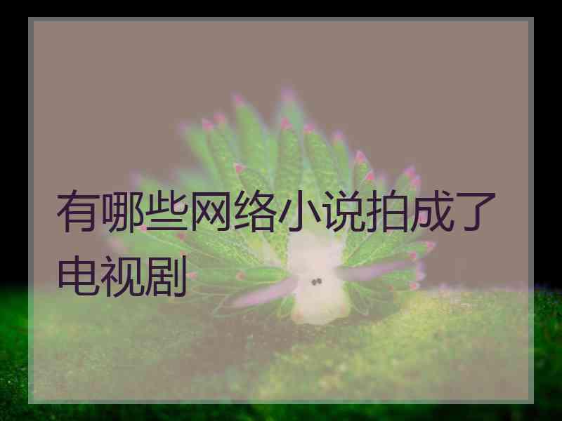 有哪些网络小说拍成了电视剧